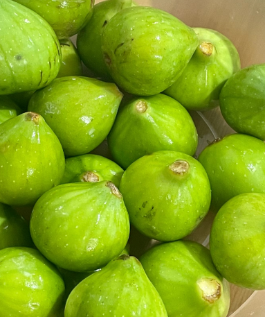 水果泡酒生产厂家 创业者的**合作伙伴